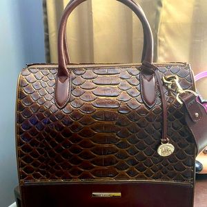 New Brahmin Caroline